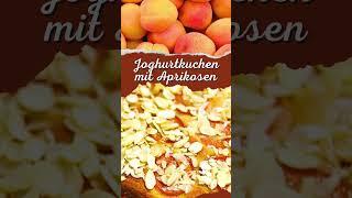 Marillenkuchen Joghurtkuchen mit Aprikosen Rezept