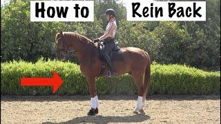 How to Rein Back