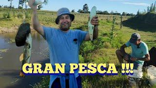 Gran pesca tarariras anguila tortugas y ranas en Pesca en agua dulce