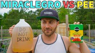 MiracleGro VS Pee Which Fertilizer Is Better? Surprising Results