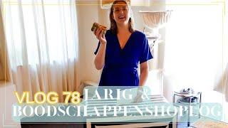 Jarig  Boodschappenshoplog  Albert-Heijn & Lidl  VLOG 78  Gwenn&Clean