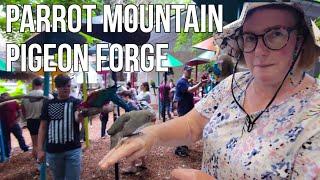 Parrot Mountain Walkthrough Pigeon Forge Tennessee Whats New 2023  Denises Birthday  YITS