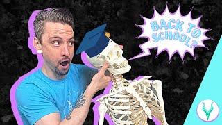 HOW TO GET INTO CHIROPRACTIC SCHOOL