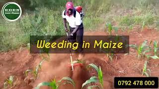 MOTORIZED WEEDING MACHINE -  KENYA