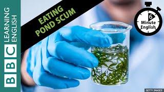 Would you eat pond scum? Eating Microalgae Listen to 6 Minute English