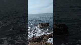 Ловля ставриды в Крыму Алупка май 20192