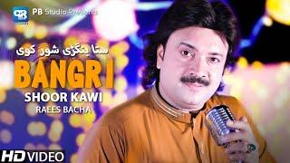 Raees Bacha New Songs 2023  Sta Bangri Shoor Kawe  Pashto Song hd  afghani Music  hd Music