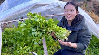 田里菜冻坏了，唯有芹菜绿意浓，一家人包饺子