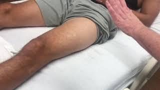 Vastus lateralis identification