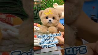  Teddy bears give us childhood dreams #kawaii #cute #dog #puppy #youtubeshorts