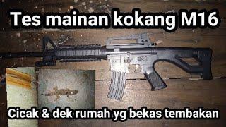 TEMBAKAN KOKANG  M16 DI TES