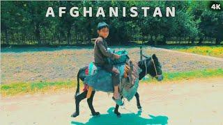 Village life In Afghanistan  lal pur District  4K