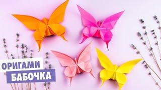 Оригами 3D Бабочка из бумаги  Origami paper butterfly