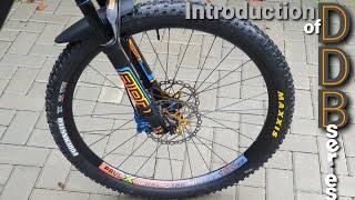 Dual Disc Brake - 180mm  29 MTB - Introduction