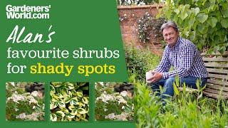 Five shrubs for shade  Alan Titchmarsh