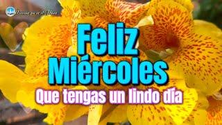 Feliz miércoles Que tengas un lindo día Hermoso video de buenos días