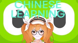 Time to learn more Chinese on Duolingo and chat