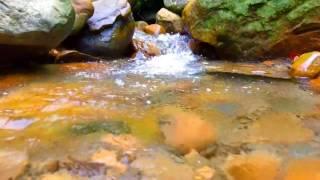 10 Hours of Babbling Brook Creek Sounds Water Stream  Relaxing Nature Sounds  Study Deep Sleep