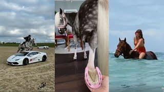 Horse TikToks That Went Viral #25
