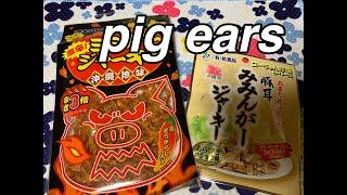 Comiendo Mimiga Oreja de puercos desde Okinawa Japon