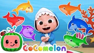 Baby Shark Learns Colors  CoComelon Nursery Rhymes & Kids Songs