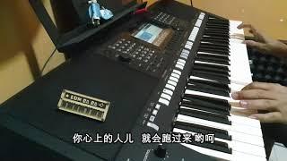 敖包相会～ 电子琴经典老歌演奏 YAMAHA PSRS 775 Cover By  LumBaBa