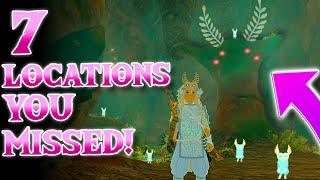 7 More CRAZY Locations You MISSED In Zelda Tears of the Kingdom Iwata Monument?