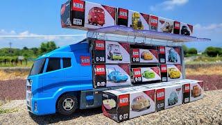 13 Box Cars Mini car ＆ Blue Big Truck  Park with fountain