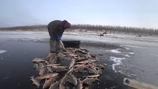 Перволёдка 2019 Yakutia Якутия