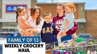 HUGE ALDI GROCERY HAUL SHOPPING FOR 11 KIDS