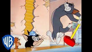 Tom & Jerry  Trapping Jerry  Classic Cartoon  WB Kids