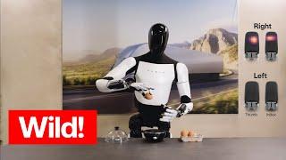 Tesla Optimus humanoid robot is going to be wild Ep. 765