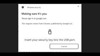 Fix Error Insert Your Security Key Into The USB Port On ChromeEdge When Using Autofill