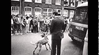 A salute to the KNPV dogs in the earlier days