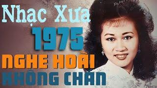 Nhạc Xưa Sài Gòn 1975 Hay Nhất Mọi Thời Đại - Nhạc Vàng Xưa Nhiều Danh Ca Hội Tụ Đắt Giá Vô Cùng