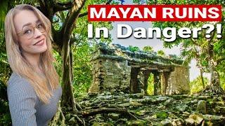 THOUSANDS Of Unexplored Mayan Ruins In DANGER?