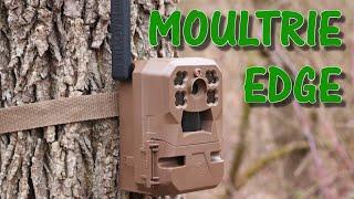 From Zero to Hero? Moultrie Edge Cellular Trail Camera Update Field Test and Review