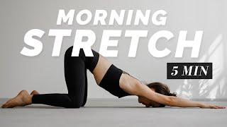 5 Min. Morning Stretch  Full Body Flexibility Routine for Beginner