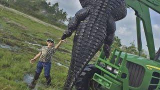 Найден Самый Огромный Крокодил в Мире  Аномально Большие Животные