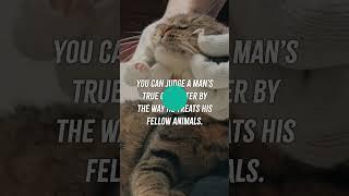 Top 5 Quotes on Showing Kindness to Animals