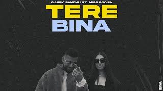 Tere Bina - Garry Sandhu ft Miss Pooja  New Punjabi Video Song 2024