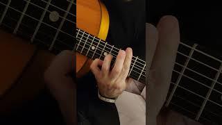 Осваиваю семиструнку. Не брани меня родная отрывок #shortvideo #guitar 2024 #обзоргитары #music