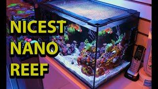 The Nicest Nano Reef Ever \\ Tias 13.5 Gallon Evo