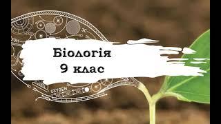 Біологія. 9 клас. 33