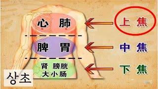 습열상초습열上焦濕熱