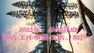 2022年愛情·工作事業·生活。秝秝塔羅占卜