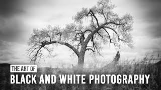 The Art of Black and White Photography