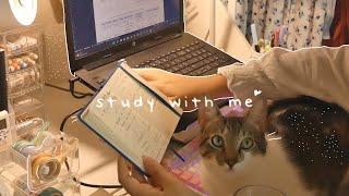 STUDY WITH ME  1hr real time piano bgm & fireplace ʕ •ᴥ•ʔ