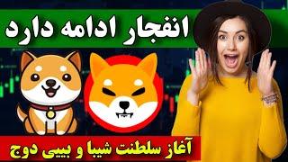 فوووووری  انفجار شیبا اینو ادامه دارد  بییی دوج کوین برای پامپ بزرگ آماده میشود