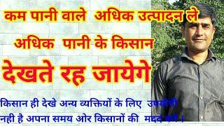 कम पानी में बोई जाने वाली फसलें। कम पानी की फसलों से अधिक मुनाफा। ये फसलें चना सरसों प्याज खेती msp